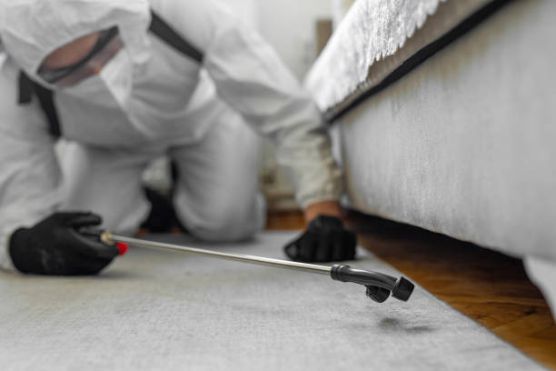 Professional Pest Control technician working in Jefferson County County, MO